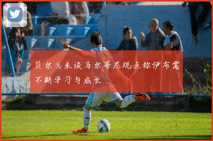 贝尔戈米谈马尔蒂尼观点称伊布需不断学习与成长